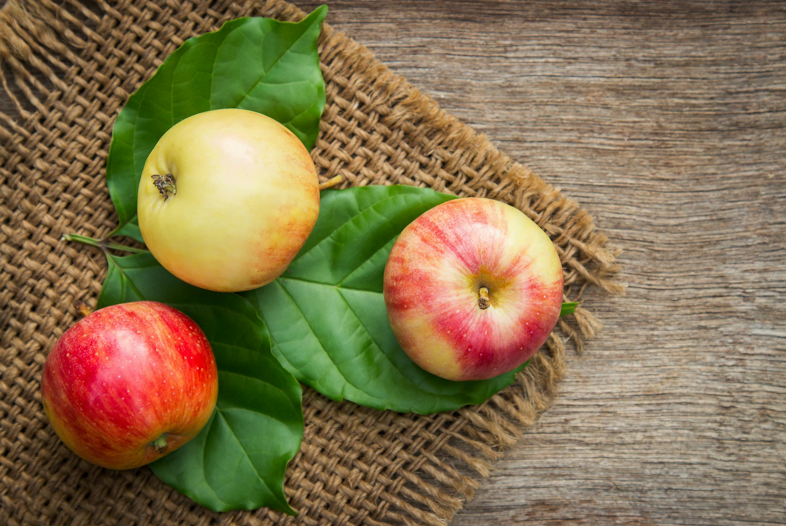 Close-up Photo of Red-and-yellow Apple Fruits on Green Leaves