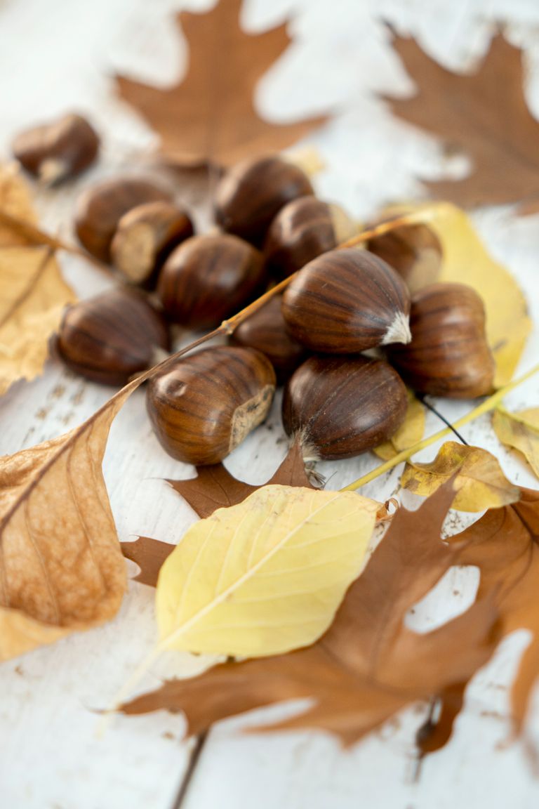 A collection of chestnuts surrounded by autumn leaves on a worn wooden table, showcasing fall's vibrant colors.