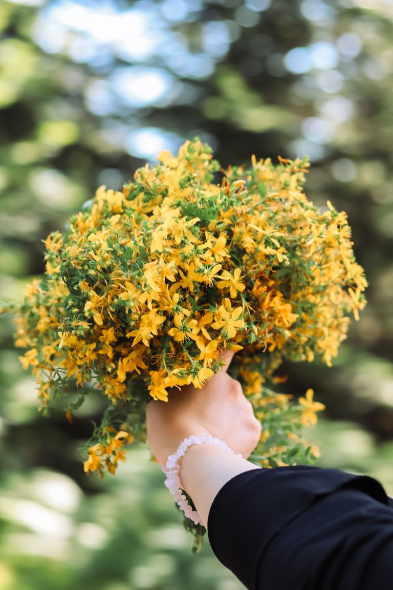 A hand holds a vibrant yellow wildflower bouquet outdoors, depicting freshness and nature's beauty.