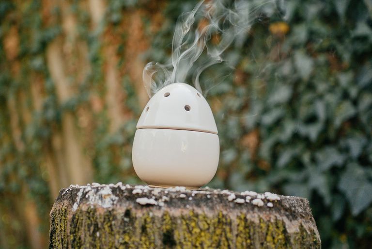 A stylish egg-shaped humidifier releasing vapor outdoors on a tree stump.