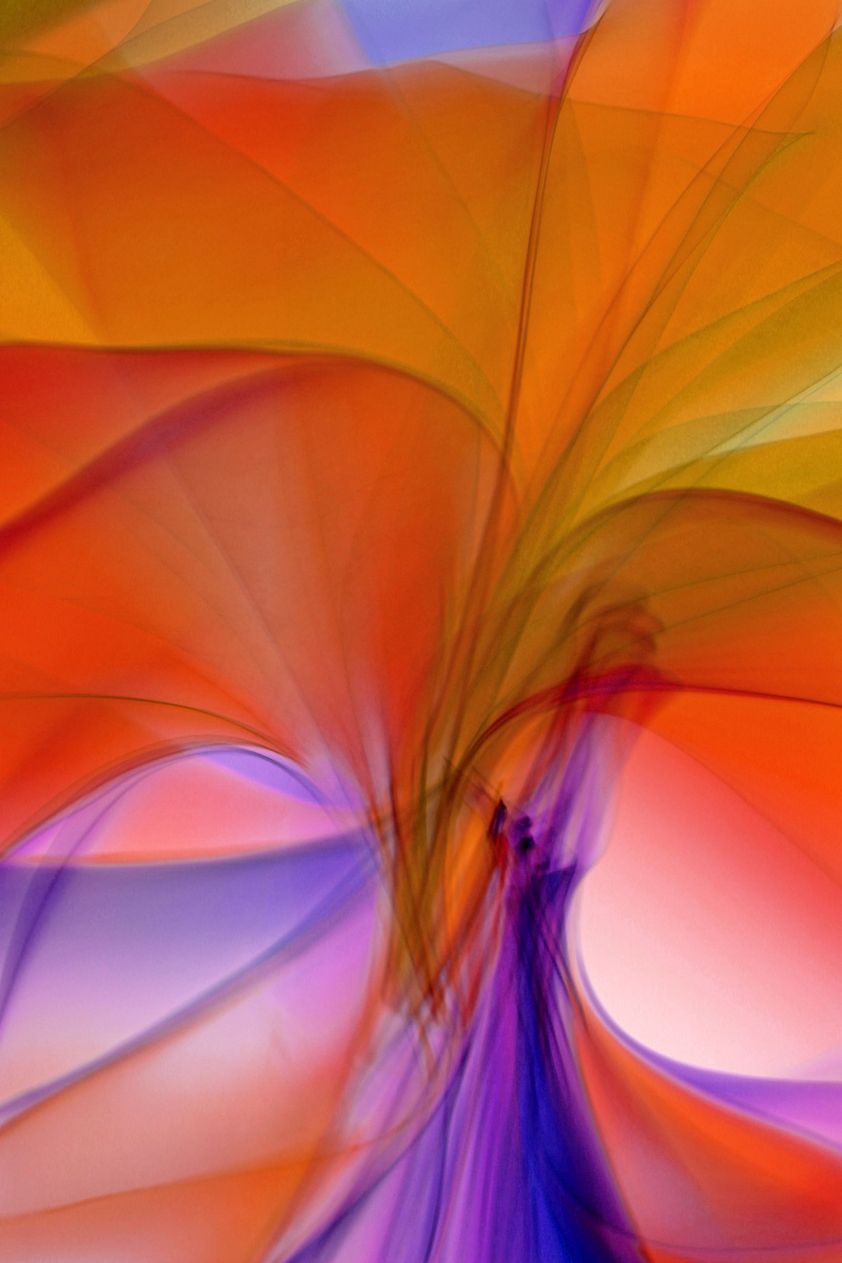 Colorful abstract art with flowing lines in orange, purple, and red shades.