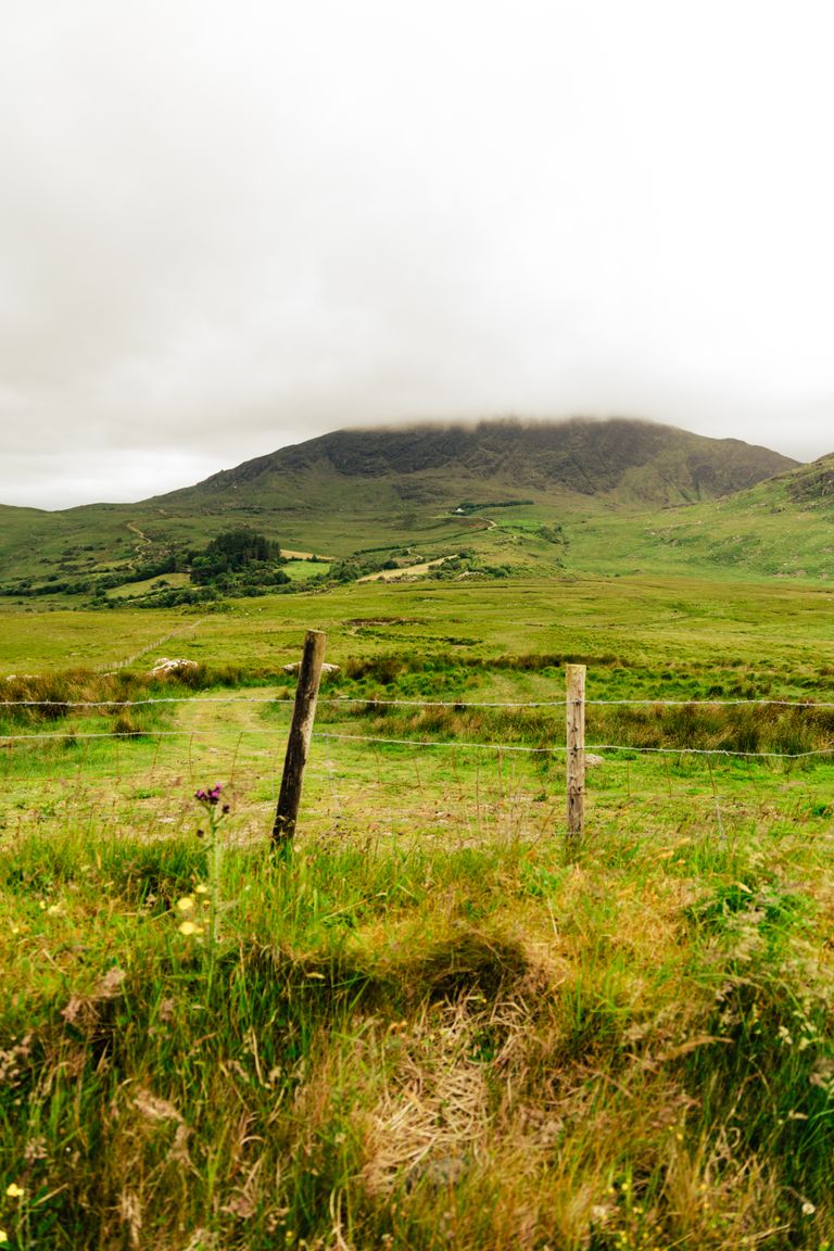 Peaceful view of Ireland's lush green fields and mountains under a cloudy sky.